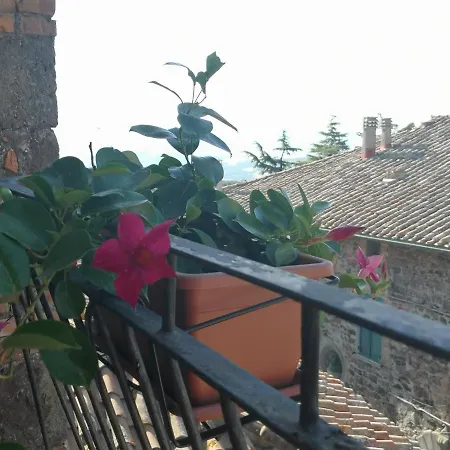 La Gioiosa