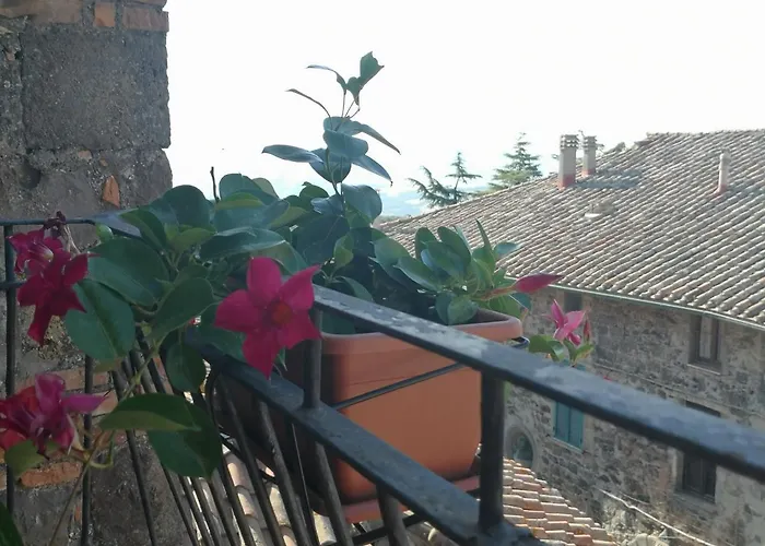 Gioia