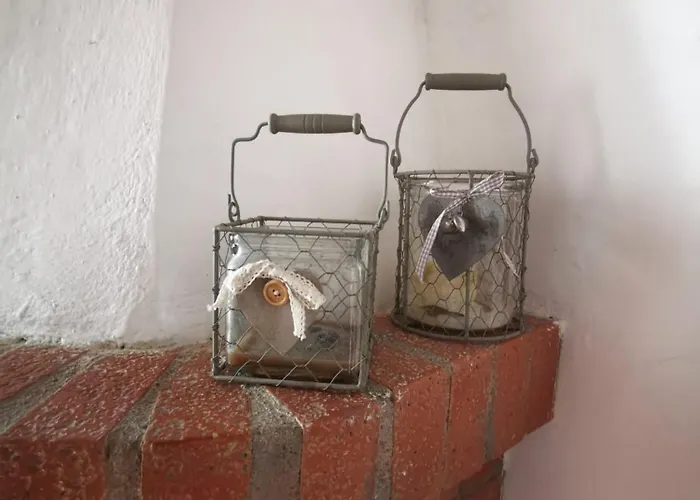 Gioia 拉迪科法尼